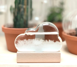 Weerstation Wolk - Bitten