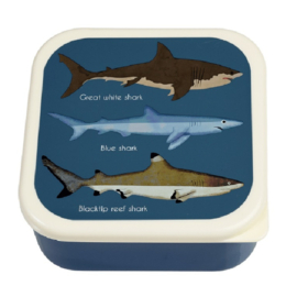 Snackbox Sharks Maat L | Rex London