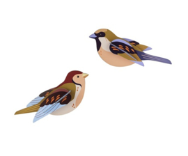 Sparrows - Studio ROOF