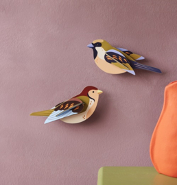 Sparrows - Studio ROOF