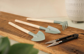 Kamerplanten tuinierset