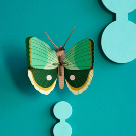 Fern Striped Butterfly - Studio ROOF