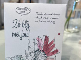 Zo blij met jou Bloemzaden cadeau - Veer & Moon