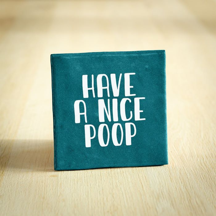 Tegeltje Have a nice poop - Turquoise