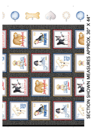 Think Pawsitive Blocks Black