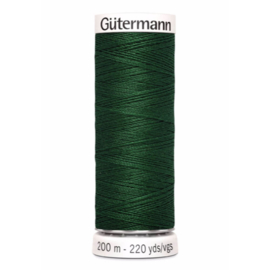 456 Groen Gutermann
