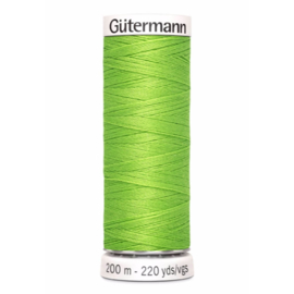 336 Groen Gutermann