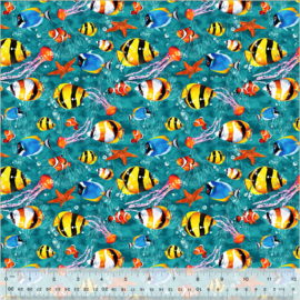 Aquatic Beauties - Paradise