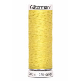 580 Geel Gutermann