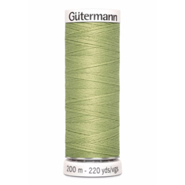 282 Groen Gutermann