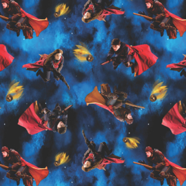 Playing Quidditch - Blue