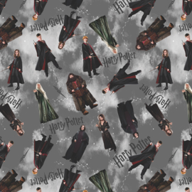 Harry Potter Characters - Gray