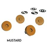 Magnetic Snaps