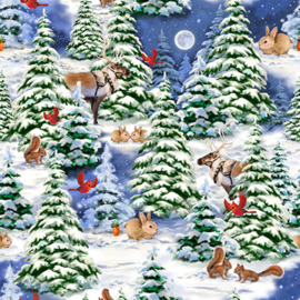 Winter Scenic - Multi
