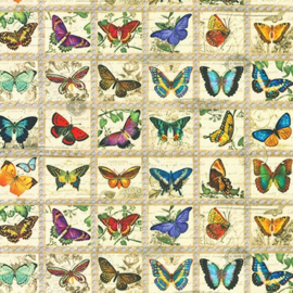 Stamp Butterfly