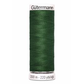 639 Groen Gutermann