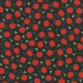 Poinsettias - Black