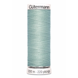 297 Groen Gutermann