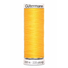 417 Geel Gutermann