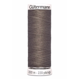 669 Bruin Gutermann