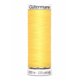 852 Geel Gutermann