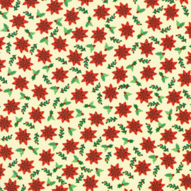 Poinsettias - Cream