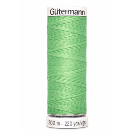 154 Groen Gutermann