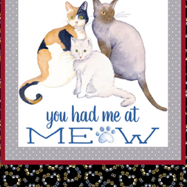 Kitty City Boxes Multi