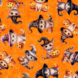 Halloween Kittens - Orange