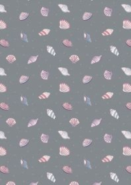 Shells on dark grey