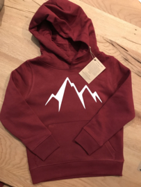 Organic mountain hoodie sweater burgundy