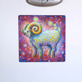 MAGNEET ZODIAC CANVAS RAM