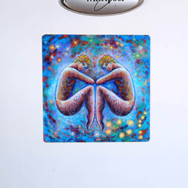 MAGNEET ZODIAC CANVAS TWEELING