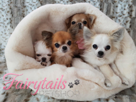 Candy,Chica,Caylinn en Coco in de Doggieyou slaapzak Large♥