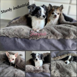 Amy, Mia en Pip genieten van hun mooie Doggieyou Industrial