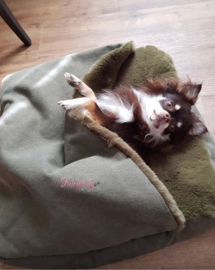 Kenzo is al in de relax modus, met een Doggieyou kussen in huis kan je ook niet anders!