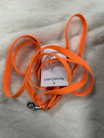 Leash 1.80 electric orange