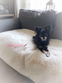 Zazou op de heerlijk dikke deken van Doggieyou  ♥