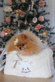 Onze franse klantje Beliss in de Bon Ton bag van for pets only, prachtige foto, van prachtige tas met een prachtig hondje!