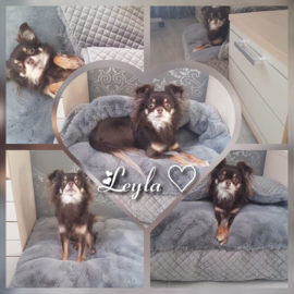 Leyla heeft dit prachtige Doggieyou kussen helemaal voor haar alleen!