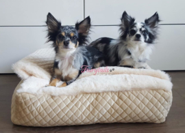 Guusje En Viev op hun mooie Doggieyou Diamond Champagne kussen, veel plezier ervan moppies!