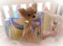 Feline in de Crystal Bag van FPO, geweldig meisje in een geweldige tas!