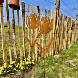 Tulp tuinsteker 55 x 32 cm. ©AlpenStyle,  cortenstaal
