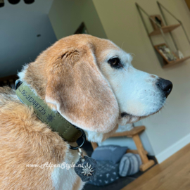 Halsband hond gepersonaliseerd Maat XL Blauw