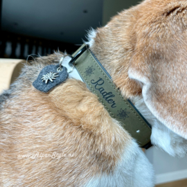 Halsband hond gepersonaliseerd Maat M Blauw