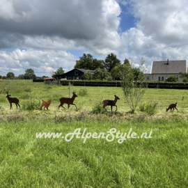 Wild Roest Metaal Tuin Decoratie