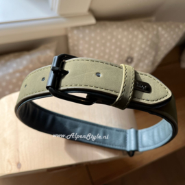 Halsband hond gepersonaliseerd Maat XL Groen