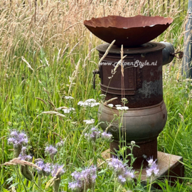 Schaal voor vogelzandbad, Diameter 40 cm, Roest metaal Tuindecoratie