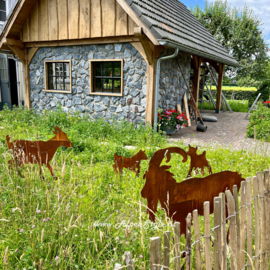 Geiten familie 4 delig, op ware grote! Roest metaal tuin decoratie