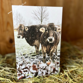 Wenskaart "Schneefreunde, AlpenStyle Gina & Reginalda"